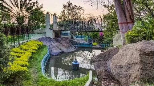 Rock Garden